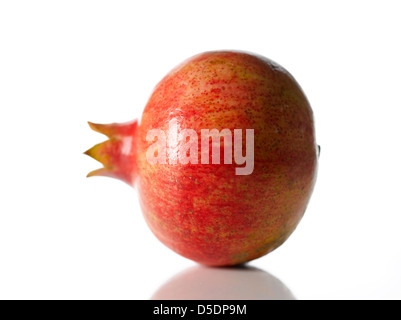 Melograno Foto Stock