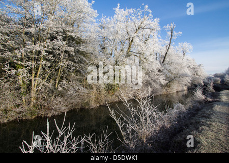 Frosty dec mattina bishops stortford herts Inghilterra Foto Stock