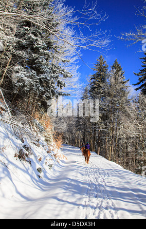 Due donne che corrono lungo nella neve fresca su un luminoso inverno mattina. Snowchoe, WV Foto Stock