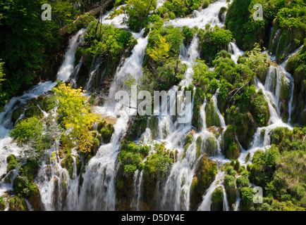 I laghi di Plitvice, alle cascate Foto Stock