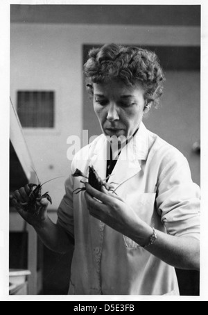 Mary Alice McWhinnie (1922-1980) Foto Stock