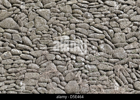Grigio vecchio muro di pietra lo sfondo con piante morte Foto Stock