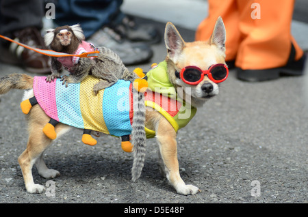 Cosplayers di Osaka in Giappone. Foto Stock