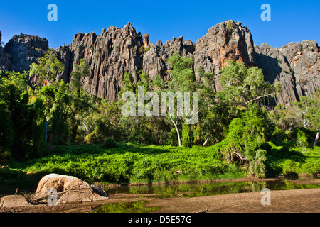 Australia, Australia occidentale, Kimberley, Windjana Gorge National Park, vista di 350 milioni di anni reef devoniano Foto Stock