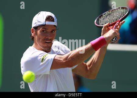 Marzo 29, 2013 - Miami, Florida, Stati Uniti - Tommy Haas della Germania in azione contro David Ferrer della Spagna durante i loro semi finale corrisponde al Sony Open a Crandon Park Tennis Center su Marzo 29, 2013 in Key Biscayne, Florida. (Credito Immagine: © Joe Scarnici/ZUMAPRESS.com) Foto Stock