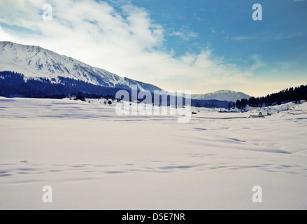 Coperta di neve valle in inverno, Gulmarg, Jammu e Kashmir India Foto Stock