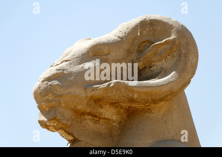 Seduto ram-guidato sfingi che formano un avenue e conducono fino al primo pilone del tempio di Amon di Karnak. L'Egitto. Foto Stock