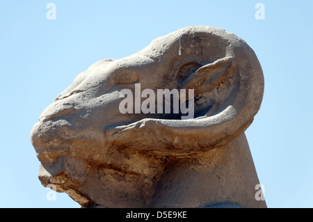 Seduto ram-guidato sfingi che formano un avenue e conducono fino al primo pilone del tempio di Amon di Karnak. L'Egitto. Foto Stock