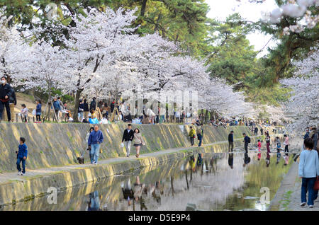 Kobe, Giappone. Il 30 marzo, 2013 - famiglie e amici si incontrano lungo un fiume in Shukugawa vicino a Kobe il sabato per festeggiare l arrivo della primavera. Immagine di credito: Trevor Mogg / Alamy Live News Foto Stock