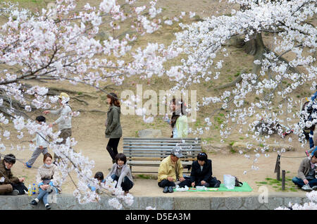 Kobe, Giappone. Il 30 marzo, 2013 - famiglie e amici si incontrano lungo un fiume in Shukugawa vicino a Kobe il sabato per festeggiare l arrivo della primavera. Immagine di credito: Trevor Mogg / Alamy Live News Foto Stock