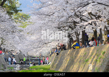 Kobe, Giappone. Il 30 marzo, 2013 - famiglie e amici si incontrano lungo un fiume in Shukugawa vicino a Kobe il sabato per festeggiare l arrivo della primavera. Immagine di credito: Trevor Mogg / Alamy Live News Foto Stock