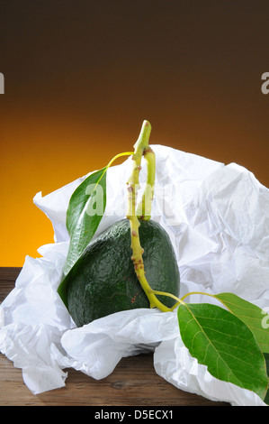 Primo piano di un nuovo raccolto di avocado con il gambo e le foglie in carta velina bianca. Foto Stock