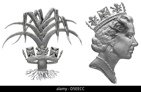 La regina Elisabetta II e il Gallese porro da 1 libbra di moneta, UK, 1990, su sfondo bianco Foto Stock