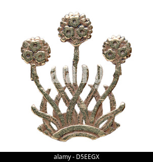 La parsimonia impianto, Allium porrum da 3 pence coin, UK, 1937, su sfondo bianco Foto Stock