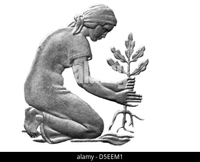 Donna di piantare una piantina di quercia da 50 Pfennig coin, Germania Ovest, 1993, su sfondo bianco Foto Stock