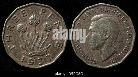3 pence coin, parsimonia impianto, King George VI, UK, 1937 Foto Stock