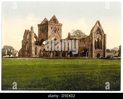 [Sweetheart Abbey, Dumfries Scozia] (LOC) Foto Stock