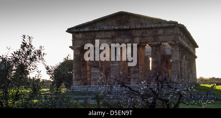 Greco-romane i templi di Paestum, Campania, Italia. Foto Stock