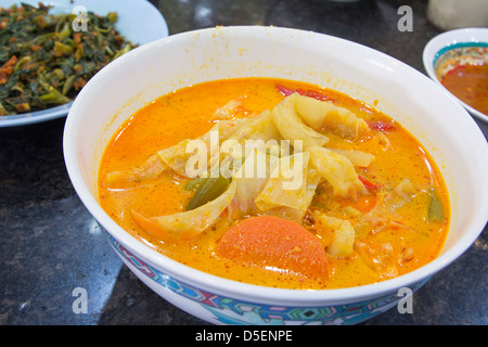 Nonya Sayur Lodeh zuppa di verdure piatto malese Foto Stock