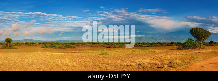Savana Africana e Rwenzori Mountains, Queen Elizabeth N.P., Uganda Foto Stock