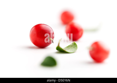 Lingonberries fresco con alcune foglie isolato su bianco Foto Stock