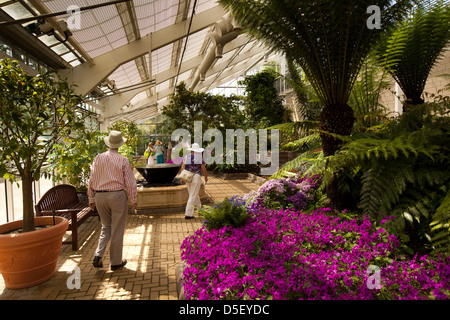 Inghilterra, Berkshire, Windsor, Savill Garden, i visitatori all'interno di Queen Elizabeth House temperate Foto Stock