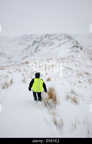 Walker nella neve profonda sul timone roccioso (il leone e l'Agnello) vicino a Grasmere in inverno nel Lake District inglese Foto Stock