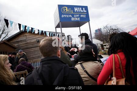 Londra, Regno Unito. Il 31 marzo 2013. Un bookie accetta scommesse prima che la quinta edizione di Oxford e Cambridge "Gara di capra' a Spitalfields CIty Farm a Londra, Gran Bretagna. Barney, rappresentante di Cambridge, ha vinto la gara con un tempo di 1 minuti e 13 secondi. George Henton / Alamy Live News. Foto Stock