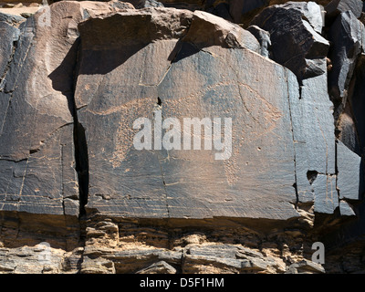 Wadi vicino al villaggio di Ait Ouabelli dove vi è una roccia preistorica art site, sulla strada tra Akka e Icht in Marocco Foto Stock