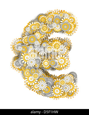 Simbolo dell'euro da giallo i fiori di camomilla, lettera forma Foto Stock