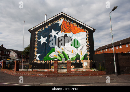 Un nazionalista murale di Ardoyne di Belfast, Irlanda del Nord. Foto Stock