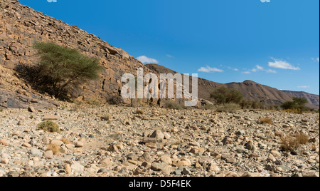 Wadi vicino al villaggio di Ait Ouabelli dove vi è una roccia preistorica art site, sulla strada tra Akka e Icht in Marocco Foto Stock