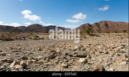 Wadi vicino al villaggio di Ait Ouabelli dove vi è una roccia preistorica art site, sulla strada tra Akka e Icht in Marocco Foto Stock