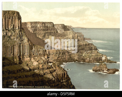 [Pleaskin Testa, Giant's Causeway. Contea di Antrim, Irlanda] (LOC) Foto Stock