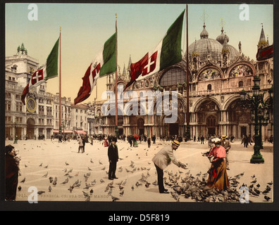 Una scena serena catturata a San Marco, Venezia, Italia, dove vengono nutriti i piccioni. L'immagine cattura l'atmosfera tranquilla della piazza, con l'architettura storica sullo sfondo e i turisti che si godono il momento. Foto Stock