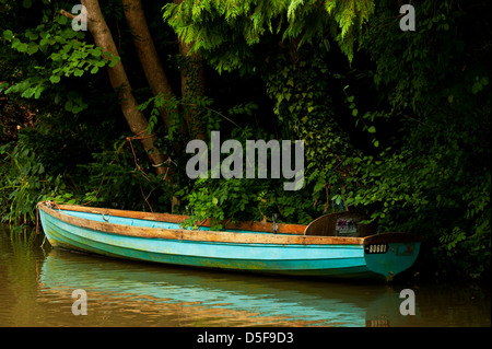 Un blu canotto ormeggiato al di sotto di alberi frondosi sul canale di Oxford, Oxford. Foto Stock