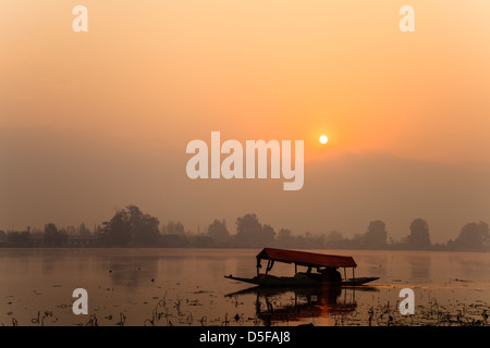 Barca shikara al mattino, India Foto Stock
