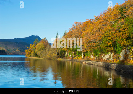 In autunno il Trossachs, Loch Ard cercando di Ben Lomond, Scotland, Regno Unito Foto Stock
