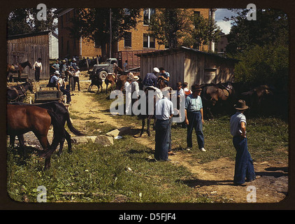 Gli alpinisti e gli agricoltori trading muli e cavalli su "San Fantino", vicino alla Casa Corte Campton, Wolfe County, Ky. (LOC) Foto Stock