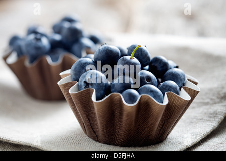I mirtilli in marrone tortina di carta, il fuoco selettivo Foto Stock