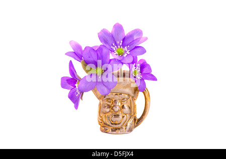 In primavera i fiori viola in piccolo vaso in ottone isolato su sfondo bianco, simbolo della molla Foto Stock