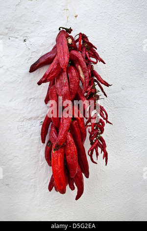 Peperoni rossi appesi per essere essiccato in una modalità tradizionale nella Alpujarras Granada Andalusia Spagna Foto Stock