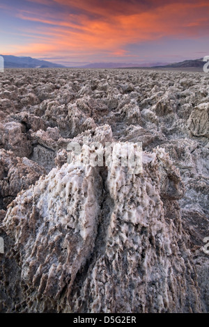 Pinnacoli di sale sul Devil's Campo da Golf, il Parco Nazionale della Valle della Morte, California USA Foto Stock