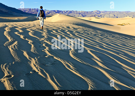 Escursionista sul piatto Mesquite dune di sabbia, il Parco Nazionale della Valle della Morte, California USA Foto Stock