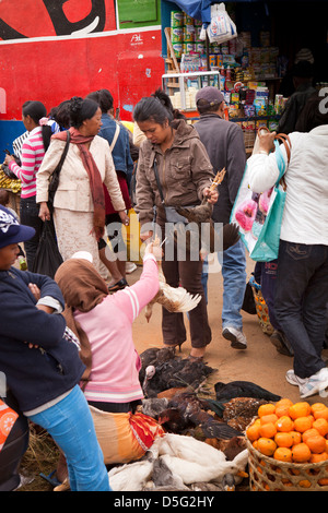 Madagascar Antananarivo, Analakely Market, donna acquisto di pollo a stallo di pollame Foto Stock