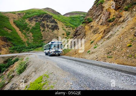 Gli autobus navetta su visitatori il limitato accesso Denali Park Road, Parco Nazionale di Denali, Alaska, STATI UNITI D'AMERICA Foto Stock