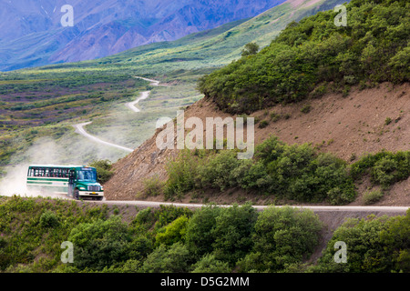 Gli autobus navetta su visitatori il limitato accesso Denali Park Road, Parco Nazionale di Denali, Alaska, STATI UNITI D'AMERICA Foto Stock