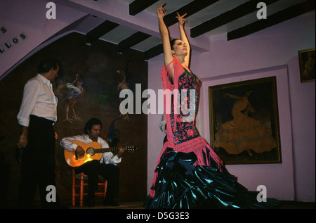 Spettacolo di flamenco a Siviglia in Spagna Foto Stock