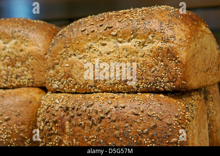 Pani pane di grano intero Pane, Pane Multigrain Foto Stock