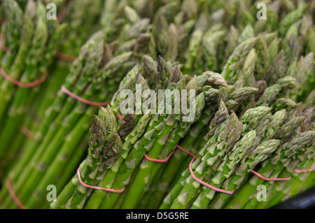 Asparagi Foto Stock